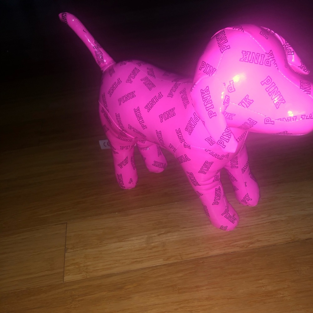 Large PINK dog